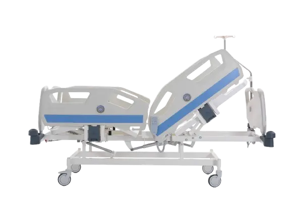 2 Motor Patient Bed